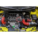 Admisión de carbono Forge Motorsport para Suzuki Swift Sport ZC33S