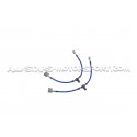 Flexibles de frein aviation Goodridge pour Honda Civic Type R FL5