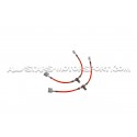 Honda Civic Type R FL5 Goodridge Braided Brake Hose Lines Kit