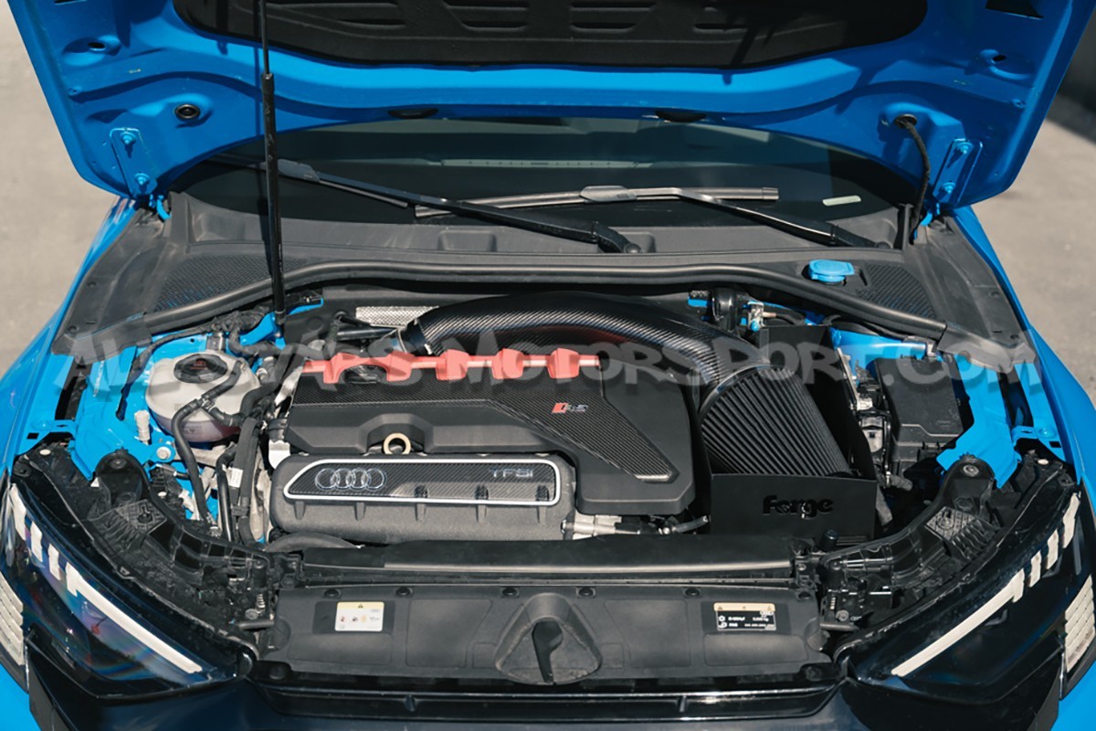 Audi RS3 8V.5 / RS3 8Y Forge Motorsport Carbon Induction Kit