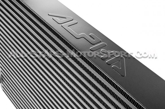 Intercambiador Alpha Competition para Golf 8 GTI / Golf 8 R / Cupra...