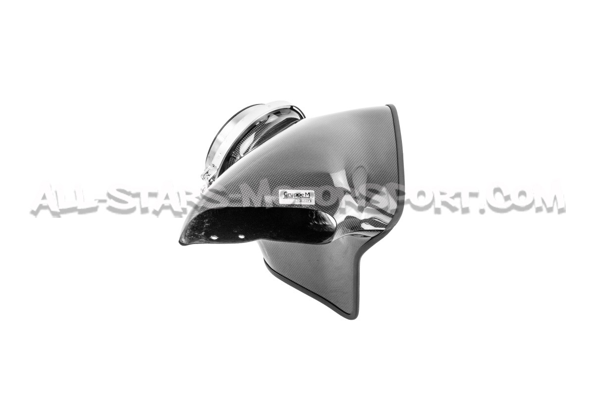 Nissan 200sx S14 Gruppe M Carbon Fiber Intake System