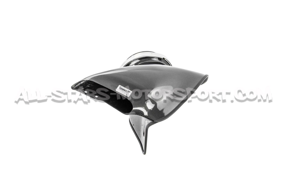 Nissan 200sx S14 Gruppe M Carbon Fiber Intake System