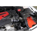 Admision de carbono Gruppe M para Honda Civic Type R FL5