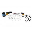 Admission Cold Air Injen pour Honda Civic Type R FN2