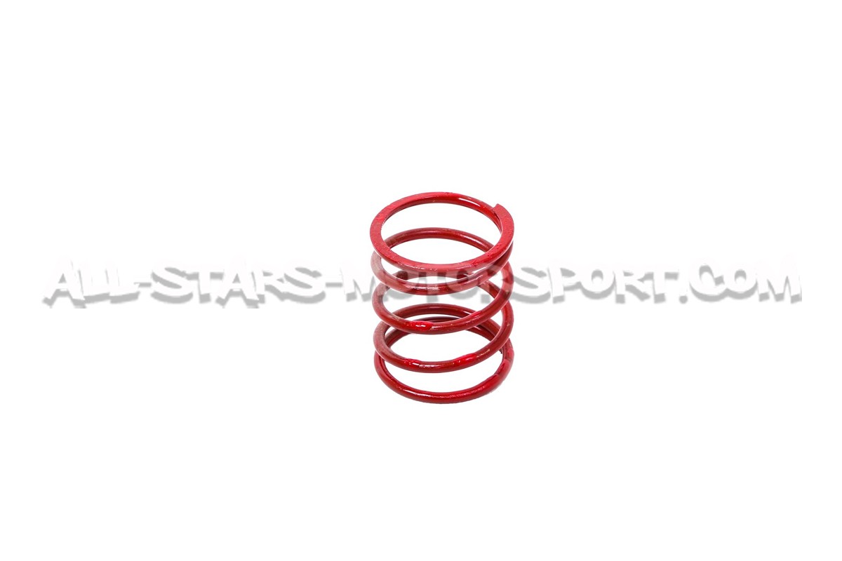 Wastegate Forge pour Ford Focus 3 ST 250