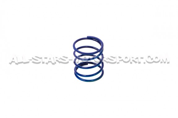 Wastegate Forge pour Ford Focus 3 ST 250