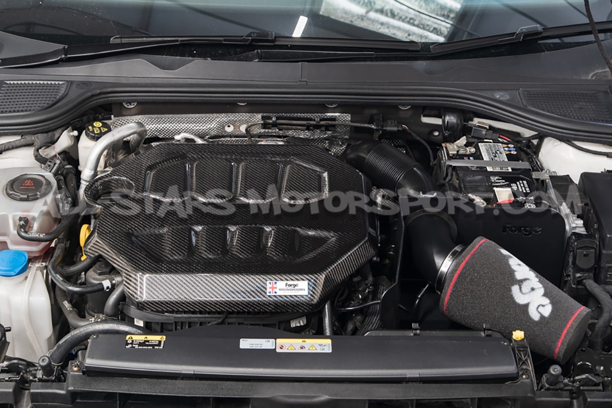 Admisión Forge Motorsport para Audi S3 8V / Golf 7 GTI / Golf 8 R /...