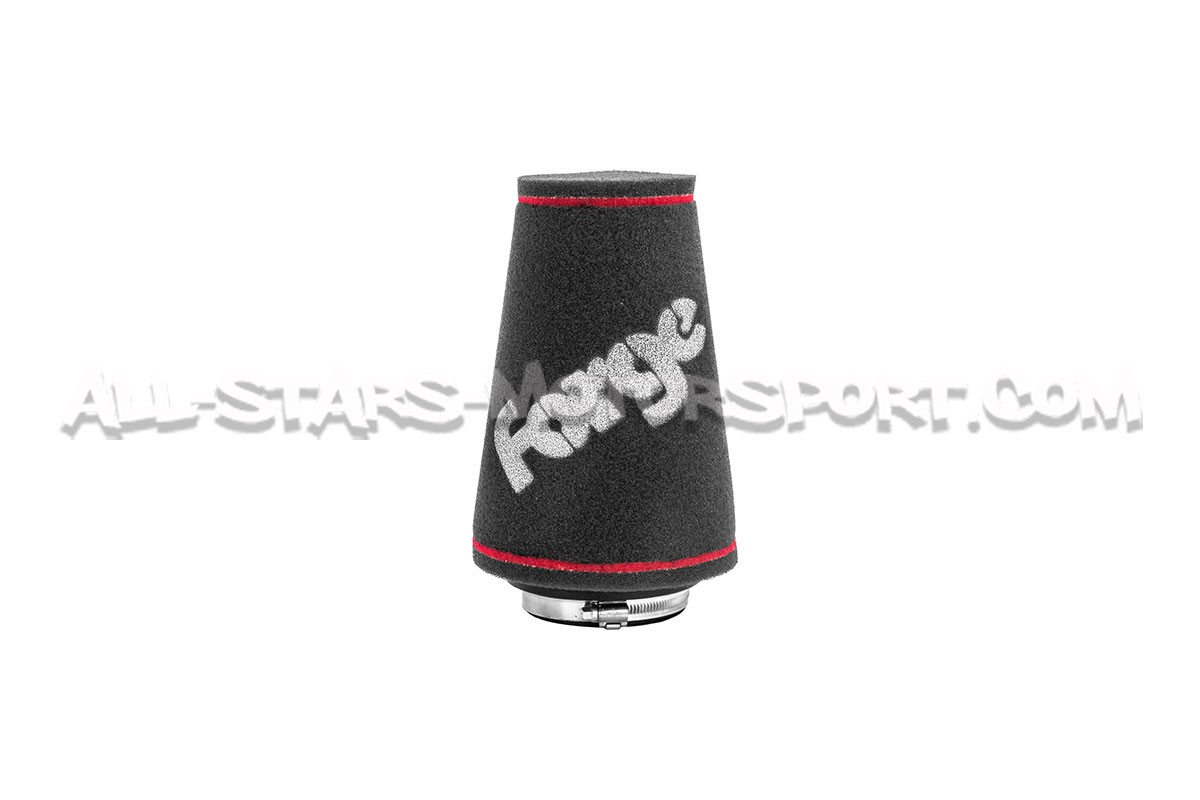 Admisión Forge Motorsport para Audi S3 8V / Golf 7 GTI / Golf 8 R /...