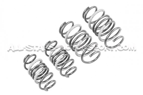 Suzuki Swift Sport ZC33S Tanabe Funtoride -25mm Lowering Springs