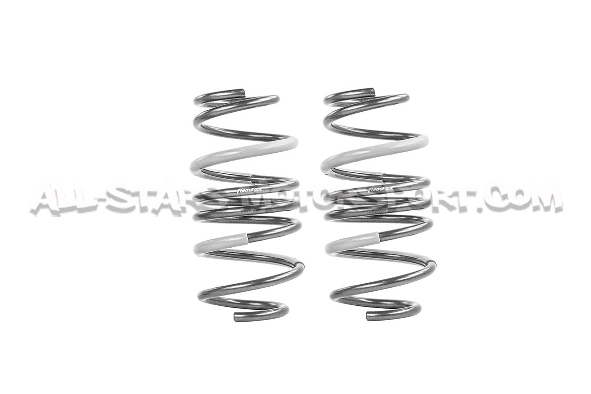 Suzuki Swift Sport ZC33S Tanabe Funtoride -25mm Lowering Springs