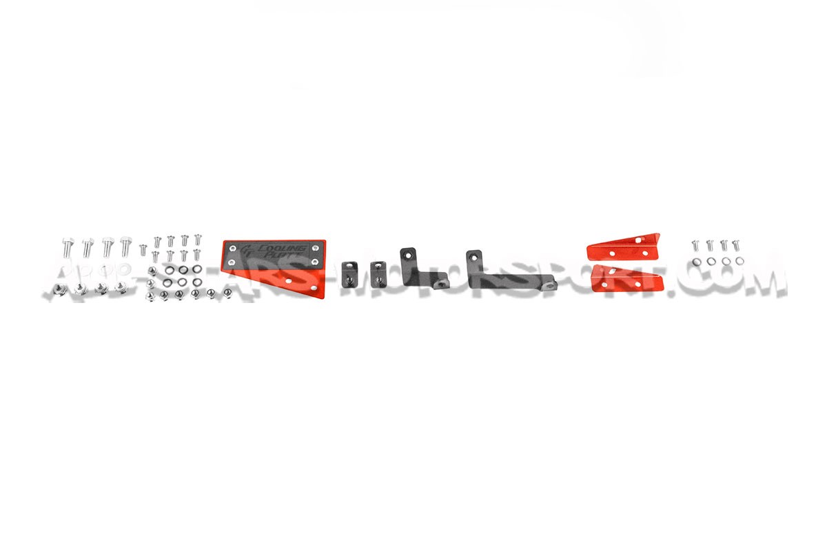 Kit de difusores de aire Tanabe cooling plates para Suzuki Swift Sp...