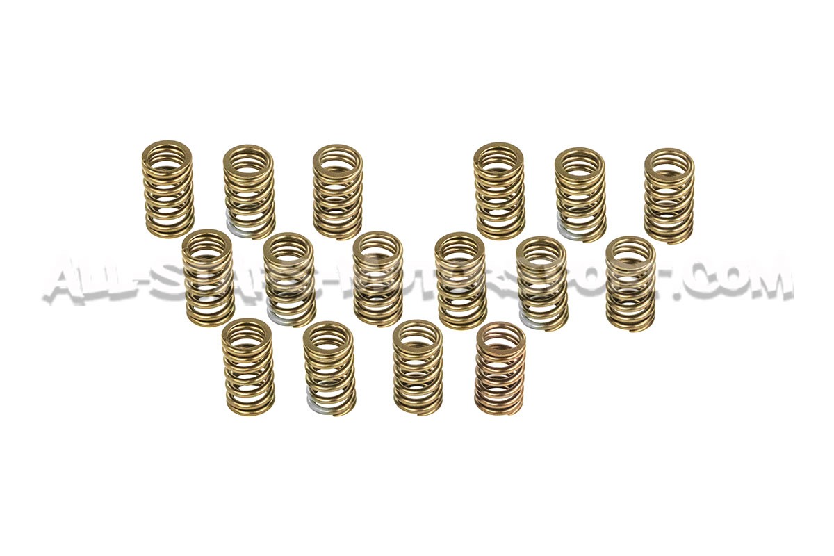 Kit ressorts de soupapes HKS pour Mitsubishi Lancer Evo 8 / Evo 9
