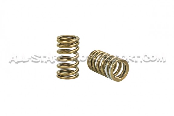 Mitsubishi Lancer Evo 8 / Evo 9 HKS Valve Springs Set