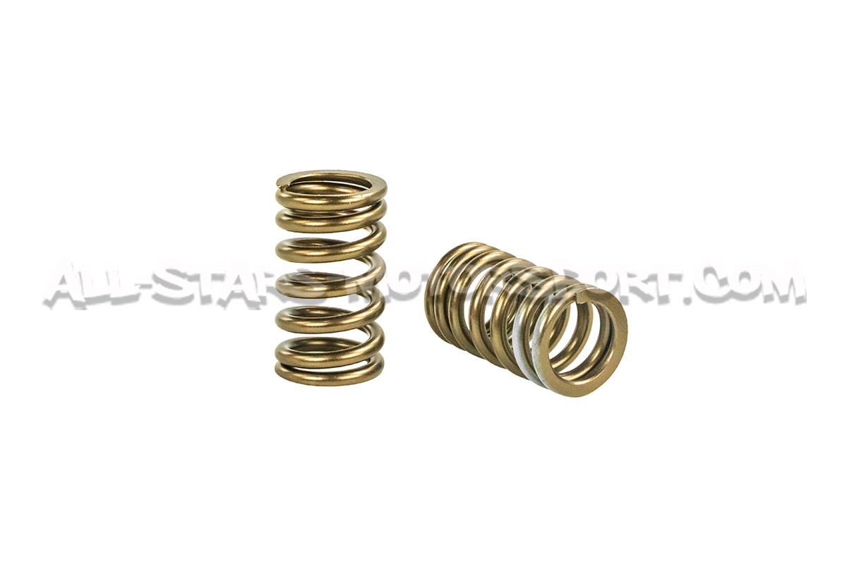 Kit ressorts de soupapes HKS pour Mitsubishi Lancer Evo 8 / Evo 9