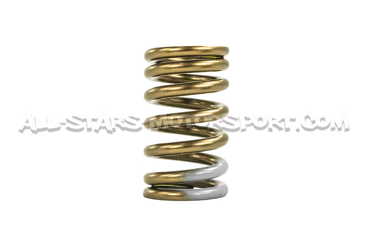 Mitsubishi Lancer Evo 8 / Evo 9 HKS Valve Springs Set