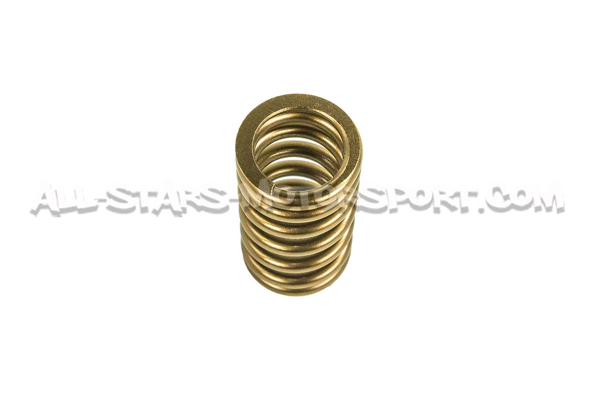 Mitsubishi Lancer Evo 8 / Evo 9 HKS Valve Springs Set