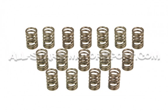 Nissan 200sx S14 SR20DET HKS Valve Springs Set