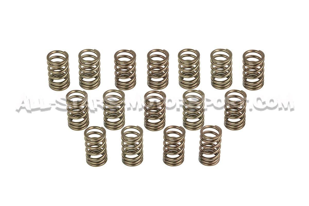 Nissan 200sx S14 SR20DET HKS Valve Springs Set