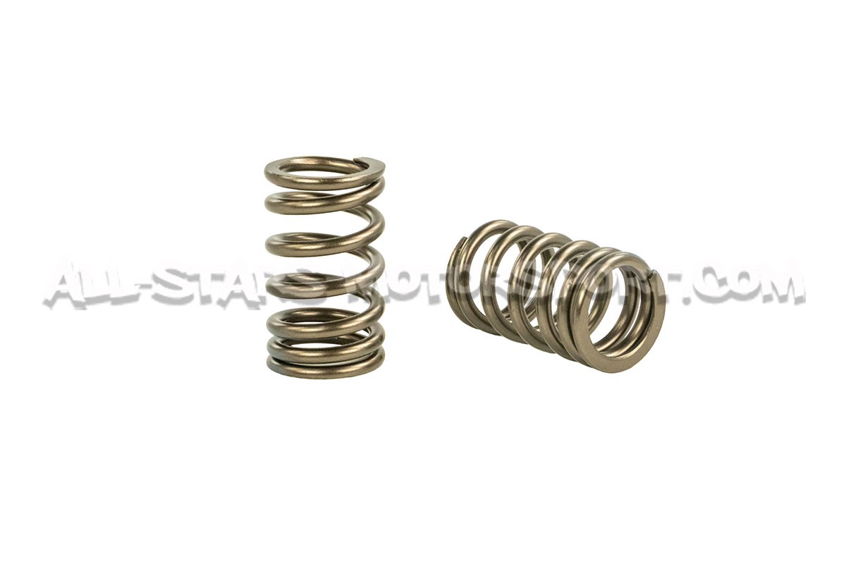 Kit de muelles de valvulas HKS para Nissan 200sx S14 SR20DET