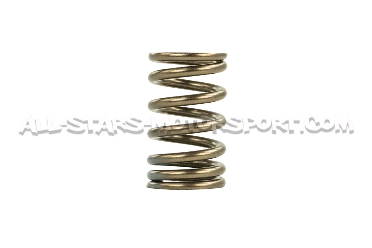 Nissan 200sx S14 SR20DET HKS Valve Springs Set