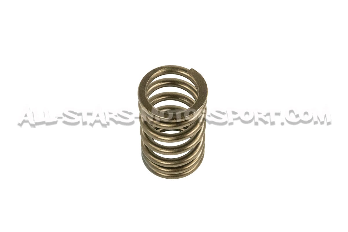 Nissan 200sx S14 SR20DET HKS Valve Springs Set