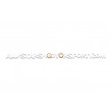 Lamborghini Aventador Goodridge Braided Brake Hose Lines Kit