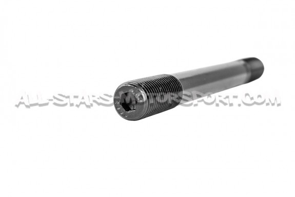 Tornillos / esparragos de culata ARP para BMW M3 E46