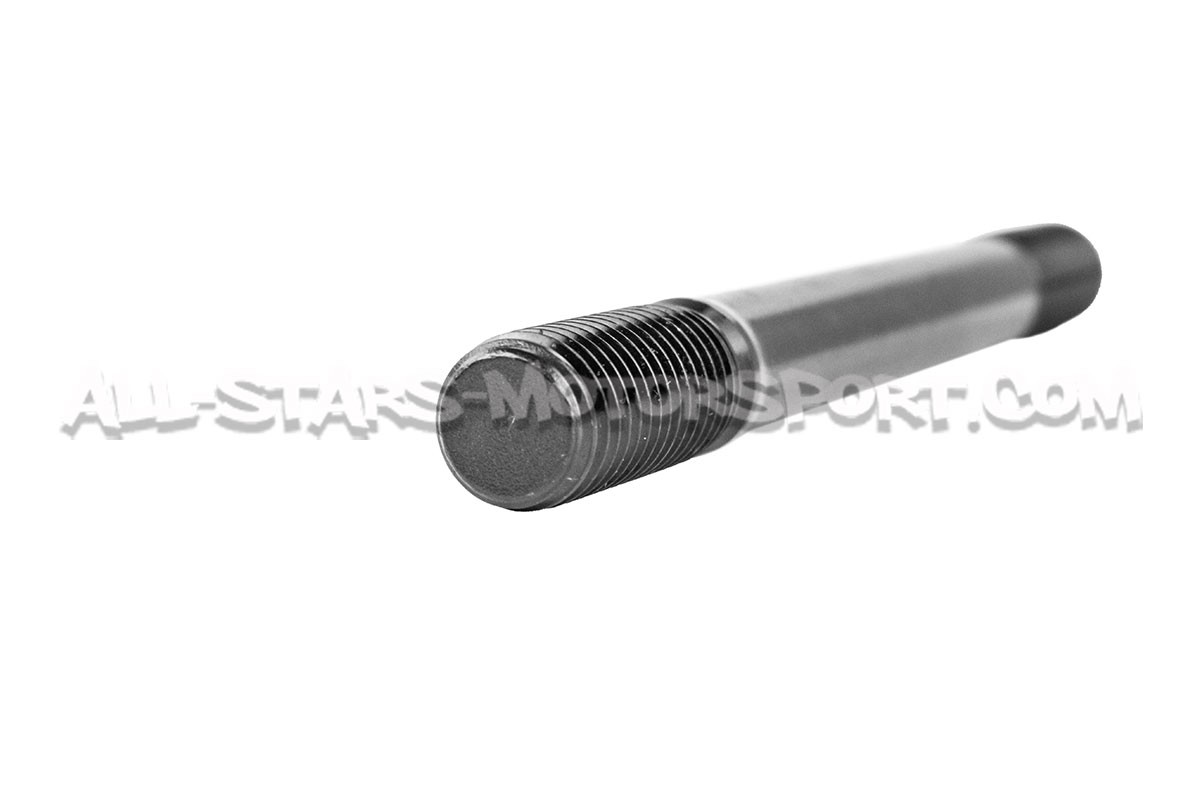Tornillos / esparragos de culata ARP para BMW M3 E46