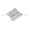 Goujons / vis de culasse ARP pour Ford Mustang 2.3 Ecoboost / Focus...