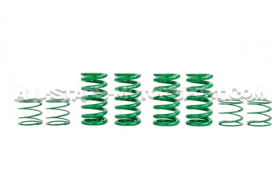 Suspension roscada Tein Flex Z / Mono Racing para Mitsubishi Lancer...