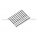 Tornillos / esparragos de culata ARP para Mazda 3 MPS