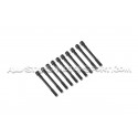 Tornillos de culata ARP para S3 8L / Leon 1M Cupra / TT 8N / Golf 4...