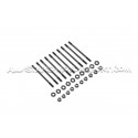 Goujons / vis de culasse ARP pour Honda Civic Type R EP3 / FN2 K20