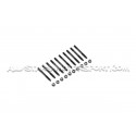 Tornillos / esparragos de ciguenal ARP para Renault Clio 3 RS et Me...