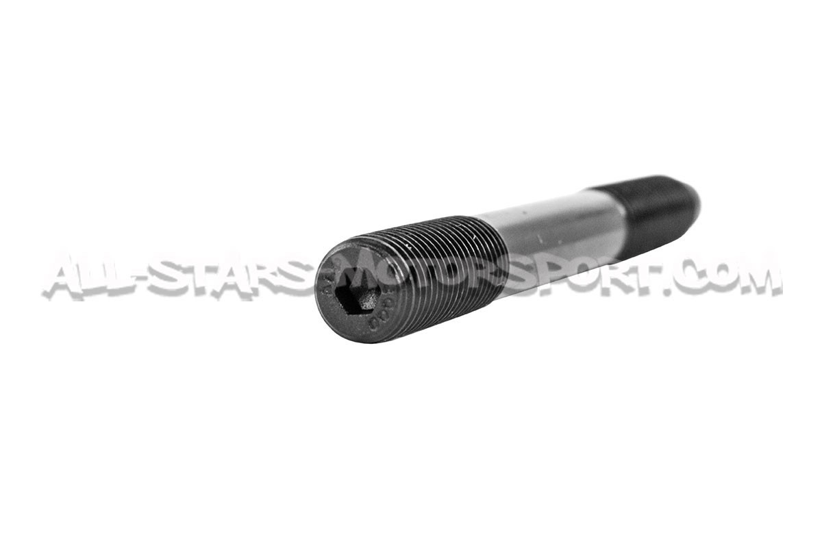 Renault Clio 3 RS and Megane 2 RS / Megane 3 RS ARP Main Stud Kit