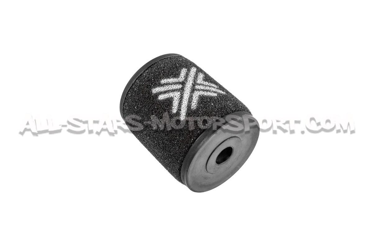 Audi RS6 C7 / RS7 C7 Pipercross Panel Air Filter