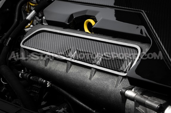 Inserto de carbono APR para colector de admision de Audi RS3 / TTRS...