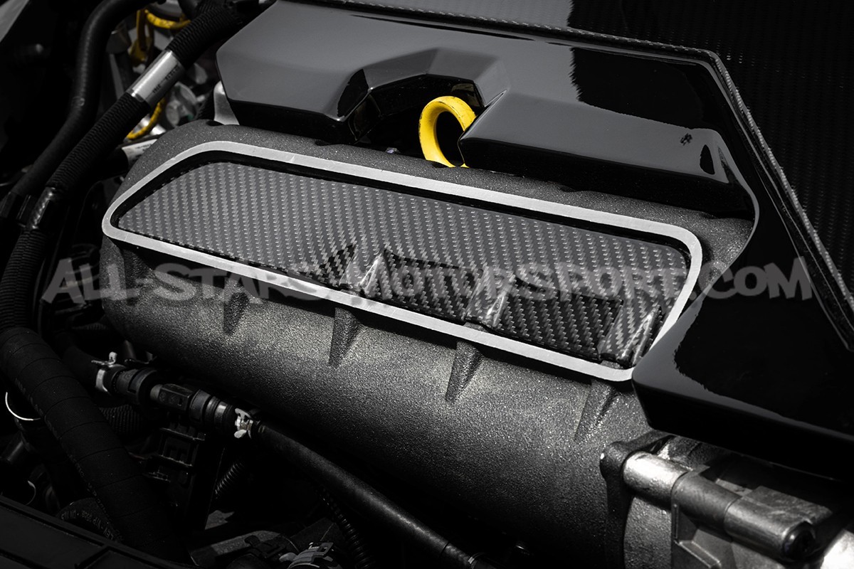 Inserto de carbono APR para colector de admision de Audi RS3 / TTRS...