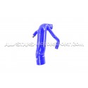 Peugeot 208 GTI Alpha Competition Inlet Hose