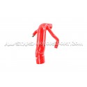 Peugeot 208 GTI Alpha Competition Inlet Hose