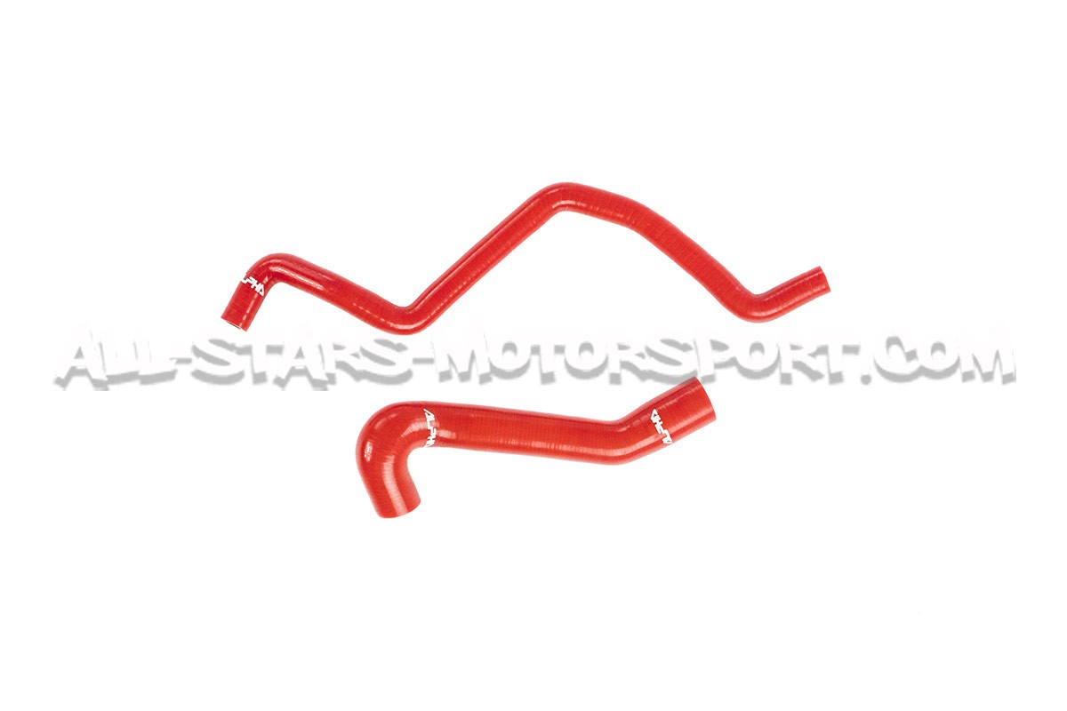 Audi S3 8L / TT 225 / Leon 1M Cupra Alpha Competition N75 and Diver...