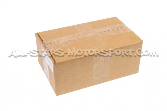 Colas de escape de carbono Armytrix para Audi RS3 8Y
