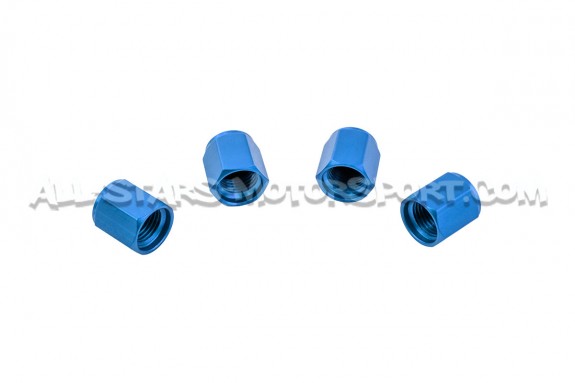 Rays Valve Stem Caps Red, Blue, Black or Gunmetal