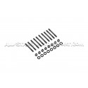 Goujons / vis de vilebrequin ARP pour Mini Cooper S / JCW F56