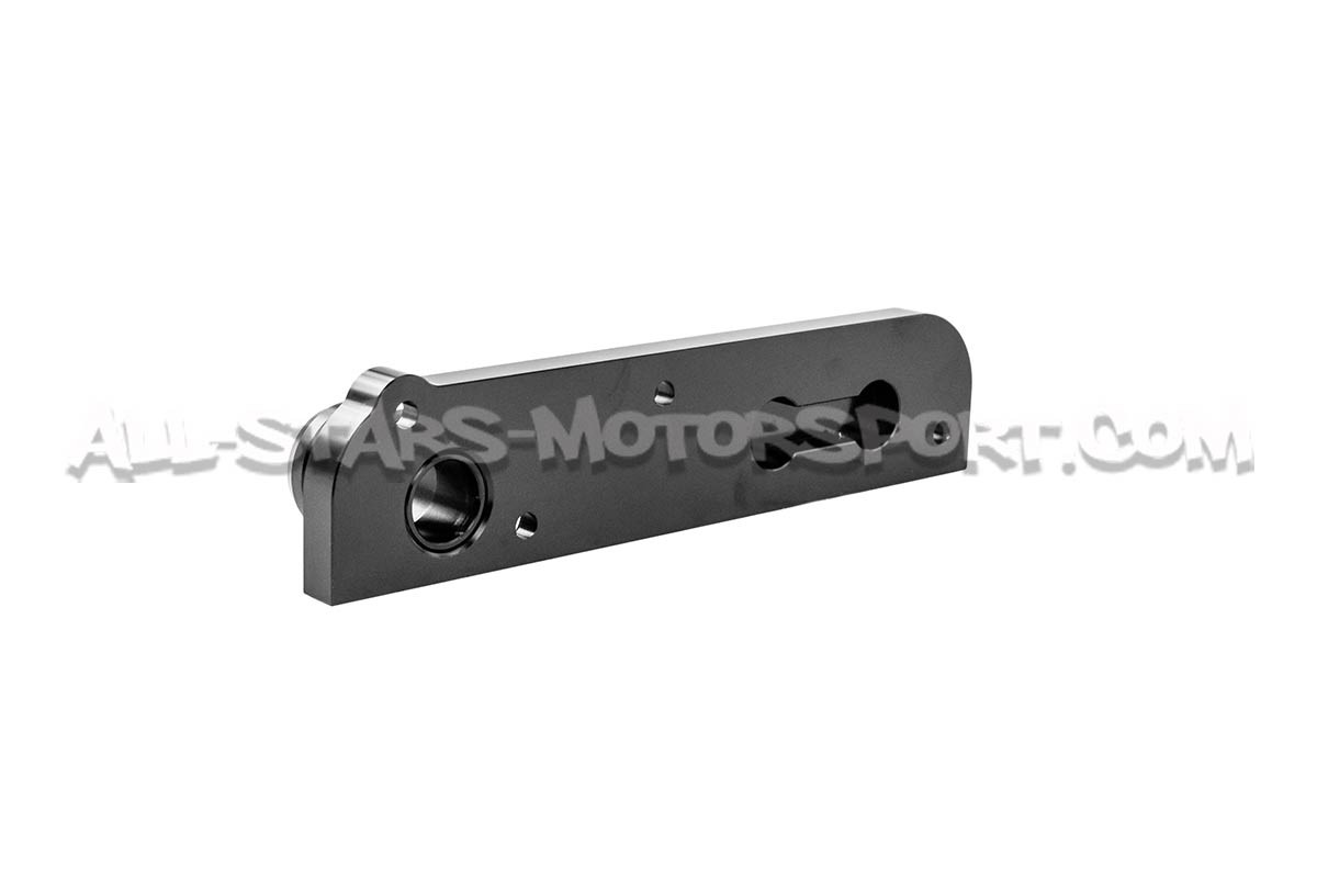 Supresor de válvula PCV Alpha Competition para Golf 5 GTI / Leon 2 ...