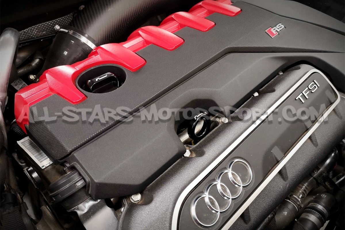 Varilla del nivel de aceite Racingline para Audi RS3 8V5 / TTRS 8S ...