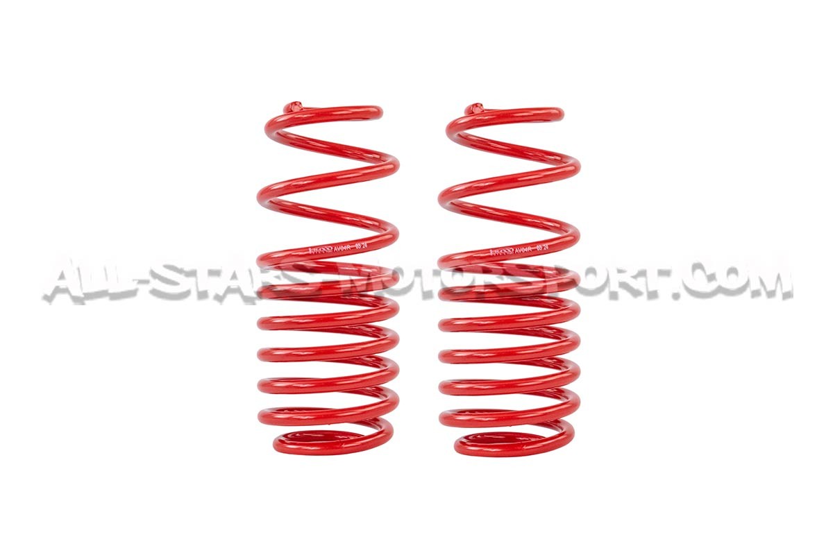 Suspensión roscada V-MAXX para Golf 4 GTI / Leon 1M 1.8T