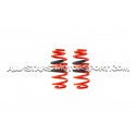 Golf 8 GTI Eibach Sportline Plus Adjustable Lowering Springs