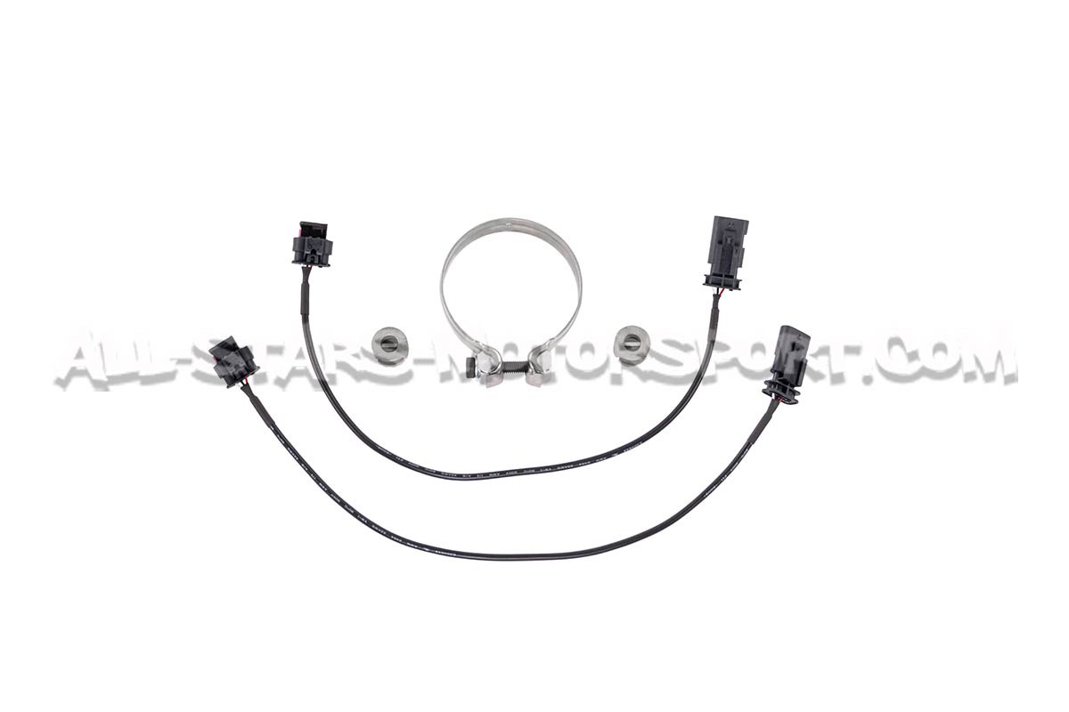 Escape catback Armytrix para Audi RSQ3 F3